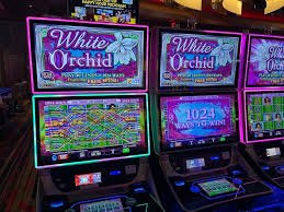 Layar utama 988bet untuk Olympus